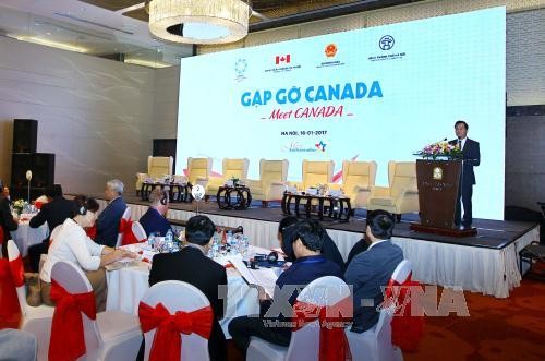 Vietnam und Kanada wollen die Zusammenarbeit effizient und nachhaltig vorantreiben - ảnh 1